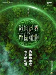 影响世界的中国植物 第03集