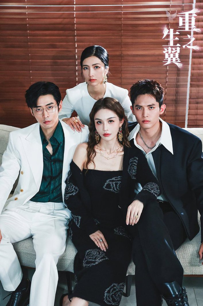 重生之翼 全集(大结局)