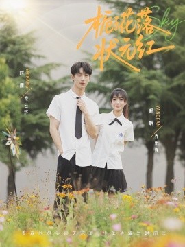 栀子花落状元红(全集)