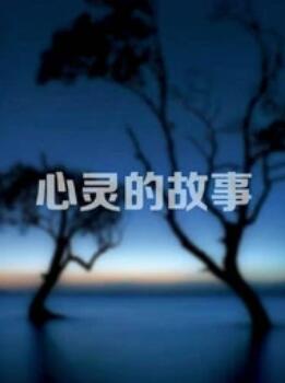 心灵的故事(大结局)
