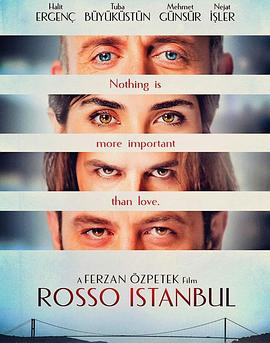 伊斯坦布尔红(大结局)